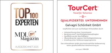 Auszeichnung 2
